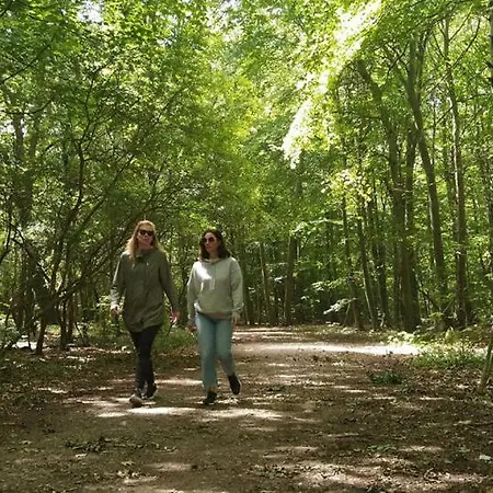 En Bos - Private Sauna Next To The Forest *